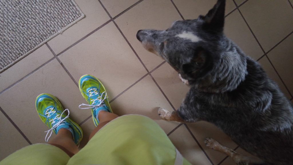 How to deal with runner's burnout shoes and dog