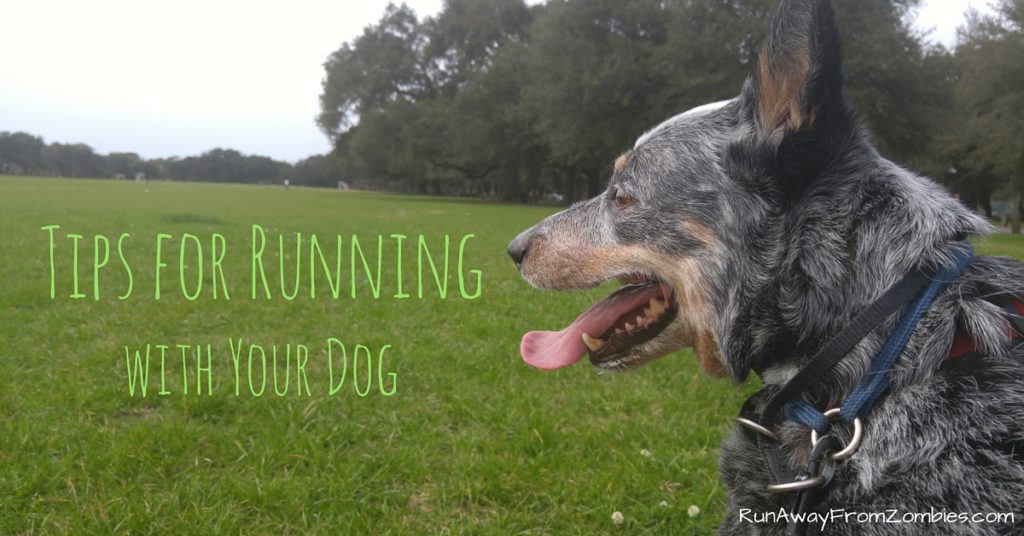 Tips for Running with Your dog