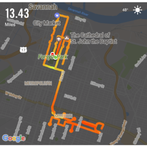 I ran in the 3rd annual Publix Savannah Women's Half Marathon. My goal was to knock more than 10 minutes off my best half for a sub-2 hour time.