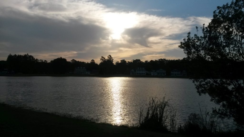 Starting Long Distance Running: by the pond