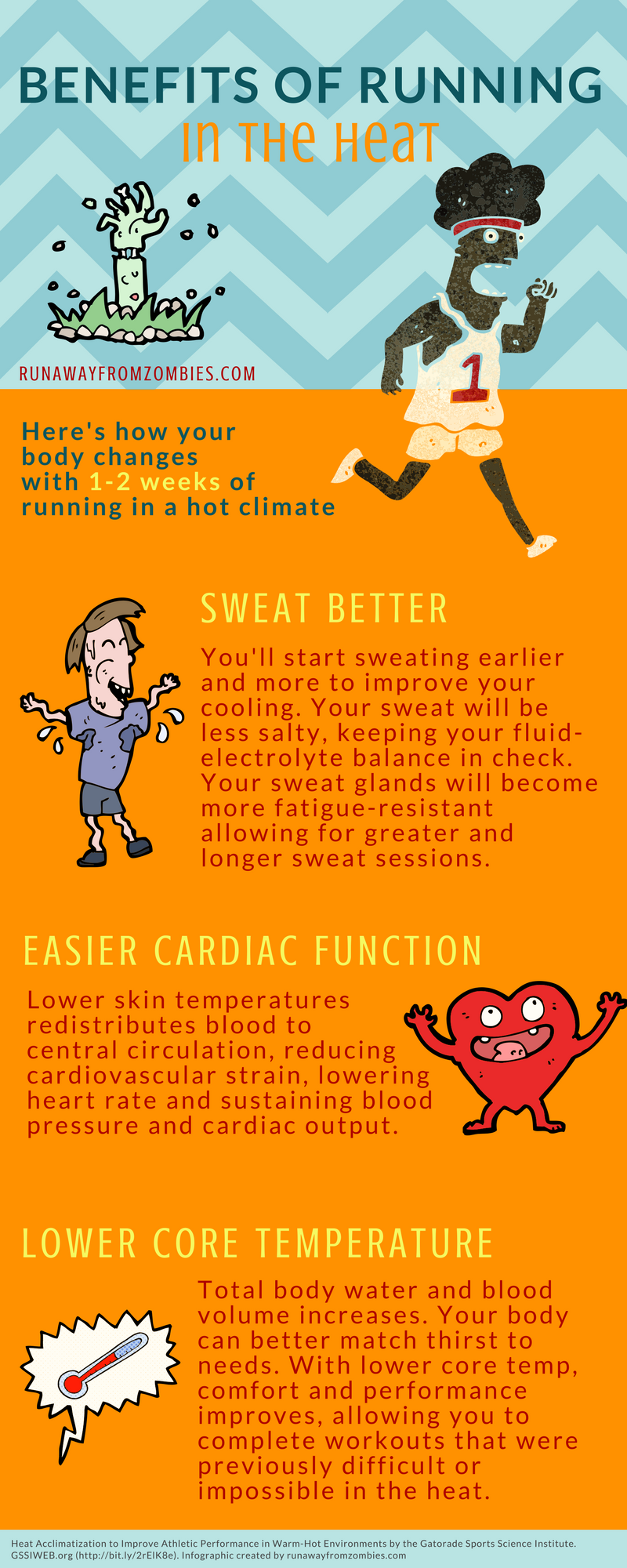 Here's how your body changes with 1-2 weeks of running in a hot climate. Sweat better: You'll start sweating earlier and more to improve your cooling. Your sweat will be less salty, keeping your fluid-electrolyte balance in check. Your sweat glands will become more fatigue-resistant allowing for greater and longer sweat sessions. Easier cardiac function: lower skin temperatures redistributes blood to central circulation, reducing cardiovascular strain, lowering heart rate and sustaining blood pressure and cardiac output. Lower core temperature: total body water and blood volume increases. Your body can better match thirst to needs. With lower core temp, comfort and performance improves, allowing you to complete workouts that were previously difficult or impossible in the heat.